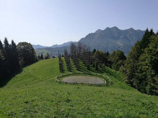 Cattedrale vegetale oltre il colle