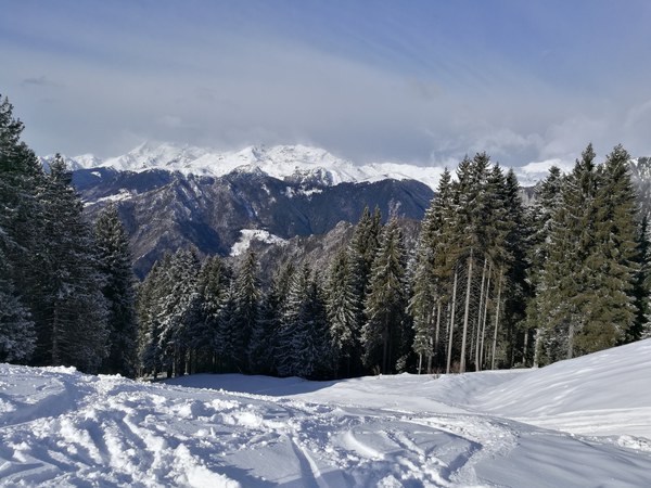 Panorama Piazzatorre